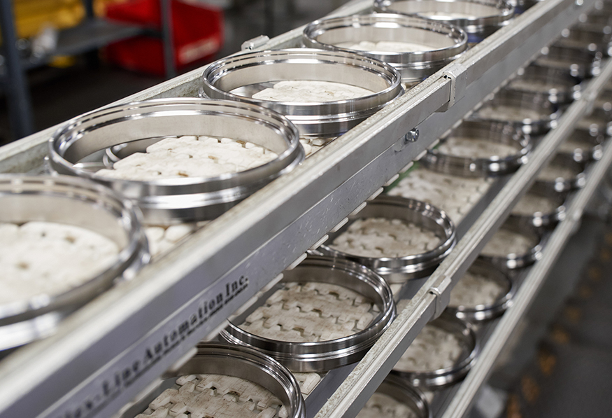 An industrial conveyor belt with round metal molds filled with a white product, possibly cheese or pharmaceuticals, in a manufacturing setting.